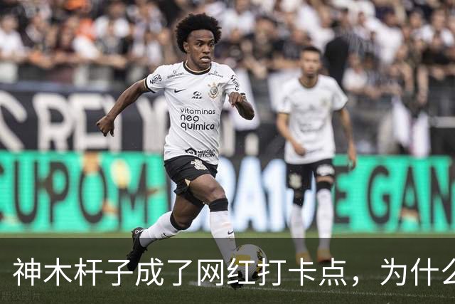 神木杆子成了网红打卡点，为什么要围起来？